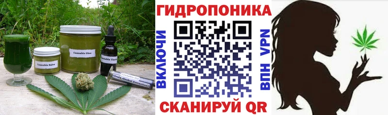 mega онион Отрадное Cannafood конопля