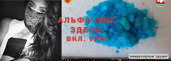 дмт Ельня