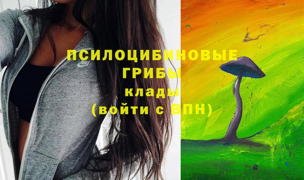 дмт Ельня