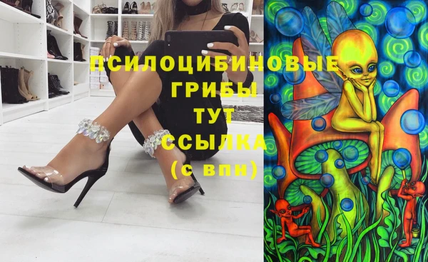 дмт Ельня