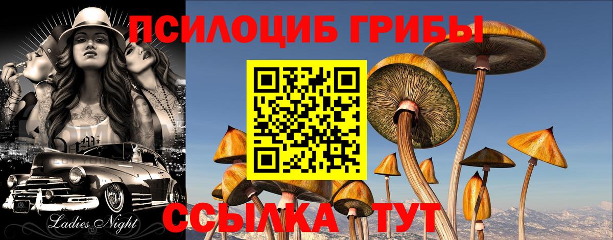 Псилоцибиновые грибы Psilocybine cubensis Отрадное