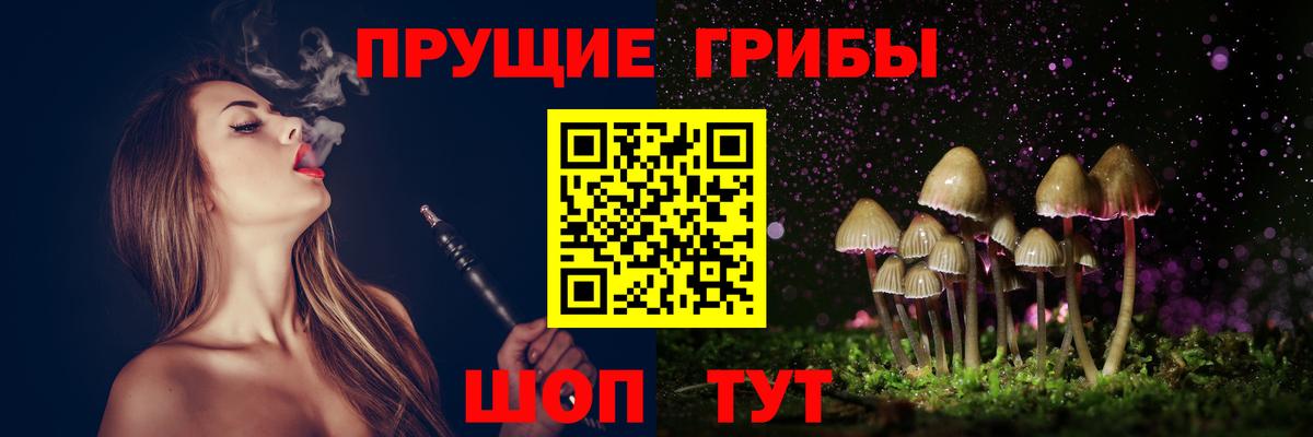 Галлюциногенные грибы мицелий Отрадное