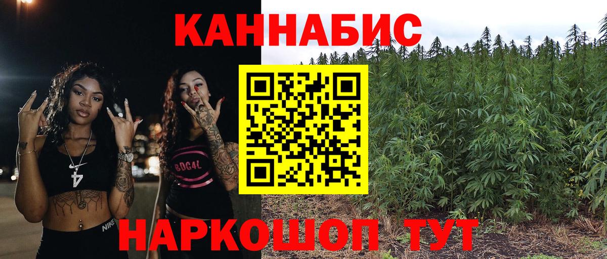Шишки марихуана планчик Отрадное